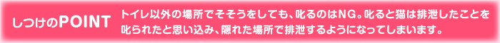 しつけのPOINT トイレ以外の場所でそそうをしても、叱るのはNG。叱ると猫は排泄したことを叱られたと思い込み、隠れた場所で排泄するようになってしまいます。