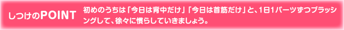 しつけのPOINT 初めのうちは「今日は背中だけ」「今日は首筋だけ」と、1日1パーツずつブラッシングして、徐々に慣らしていきましょう。