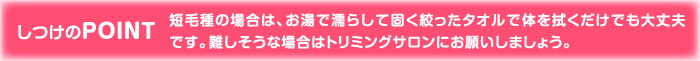 しつけのPOINT 短毛種の場合は、お湯で濡らして固く絞ったタオルで体を拭くだけでも大丈夫です。難しそうな場合はトリミングサロンにお願いしましょう。