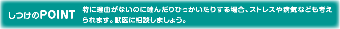 しつけのPOINT 特に理由がないのに噛んだりひっかいたりする場合、ストレスや病気なども考えられます。獣医に相談しましょう。