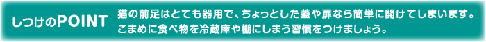 しつけのPOINT 猫の前足はとても器用で、ちょっとした蓋や扉なら簡単に開けてしまいます。こまめに食べ物を冷蔵庫や棚にしまう習慣をつけましょう。