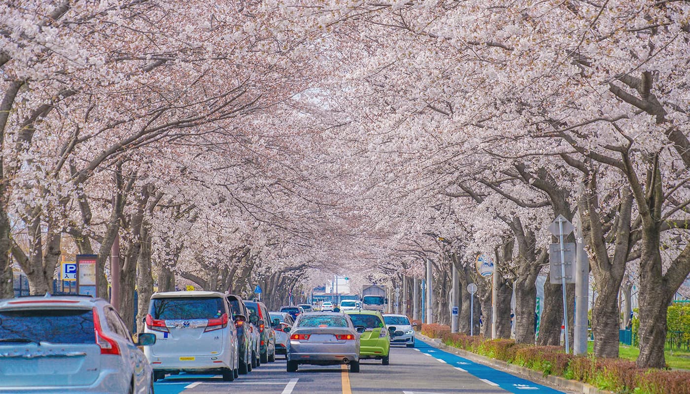 三鷹市イメージ
