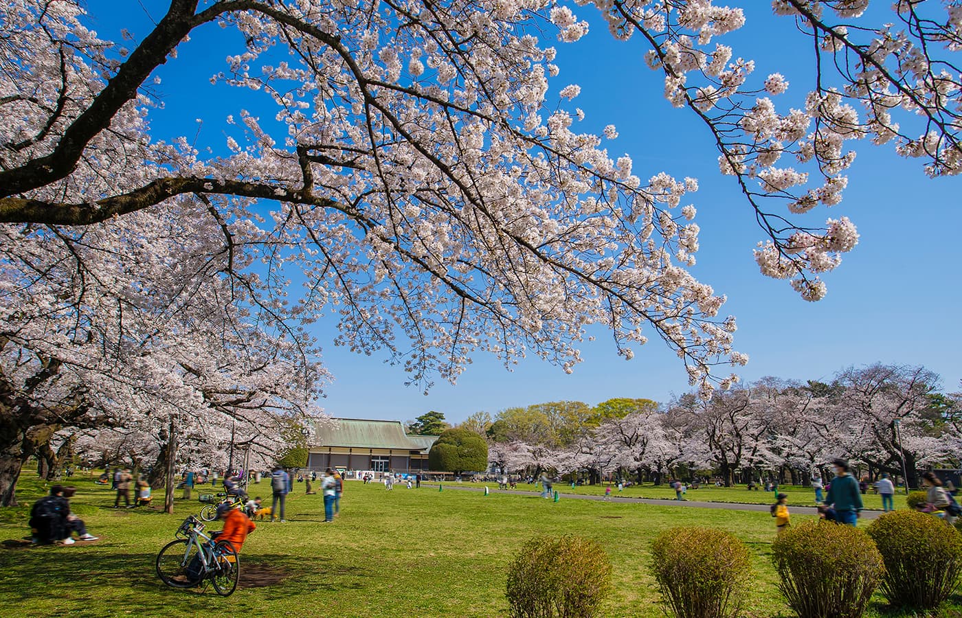 小金井市イメージ
