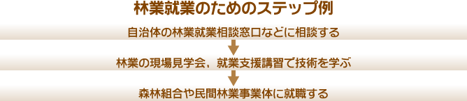 林業就業のためのステップ例