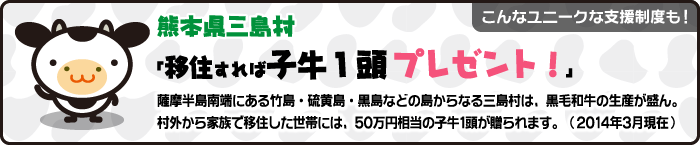 こんなユニークな支援制度も！熊本県三島市