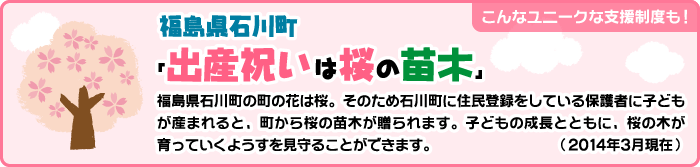 こんなユニークな支援制度も！福島県石川町