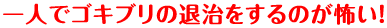 一人でゴキブリの退治をするのが怖い！