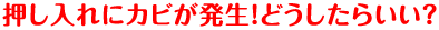 押し入れにカビが発生！どうしたらいい？