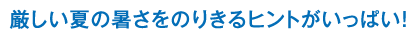 厳しい夏の暑さをのりきるヒントがいっぱい！