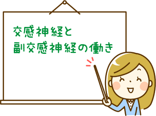 交感神経と副交感神経の働き