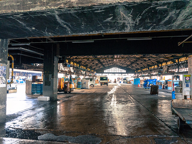 築地市場 / Tsukiji Outer Market