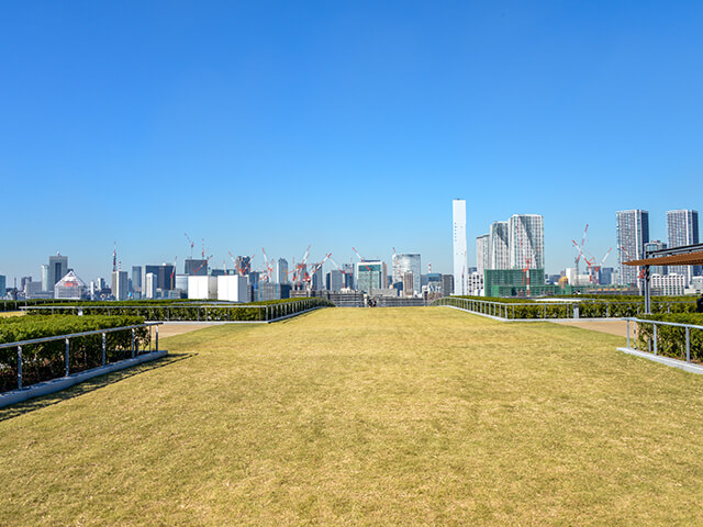 屋上緑化広場