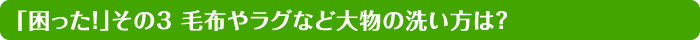 「困った！」その3 毛布やラグなど大物の洗い方は？