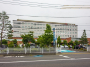 指扇病院