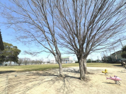 大杉公園