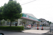 ドラッグセイムス 入谷舎人店