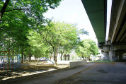 前谷公園