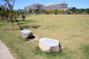 合併記念見沼公園