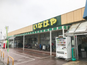 いなげや和光新倉店