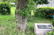 こうぼうふじみ公園