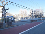 幼稚園