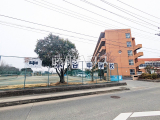 中学校