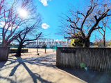中学校