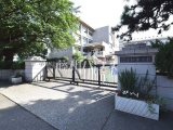 中学校