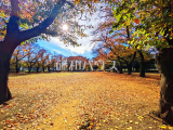 公園