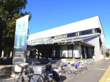 図書館