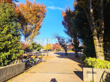 公園