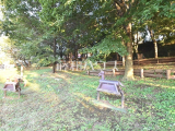 公園