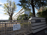 中学校