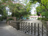 福島学園幼稚園 　524m