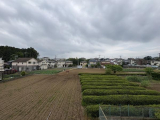 住戸からの眺望写真