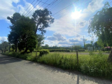 江戸街道公園 　283m