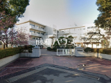 中学校
