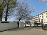 松戸市立横須賀小学校 　270m