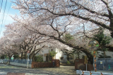 千葉市立緑町中学校 　800m