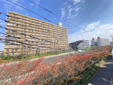 住戸からの眺望写真