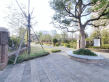 中庭