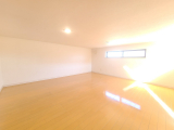 その他内観