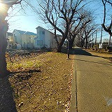 その他現地