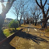 その他現地