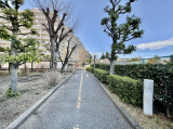 周辺の街並み　100m