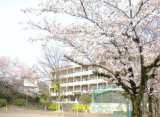 小学校