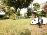 公園