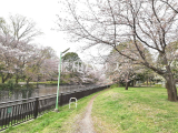 公園