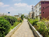 公園
