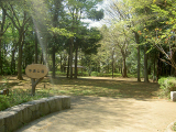 手通公園　655m
